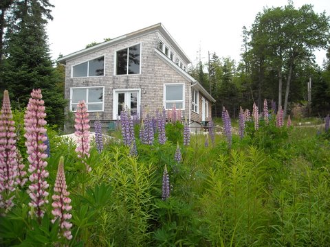 cottage pic